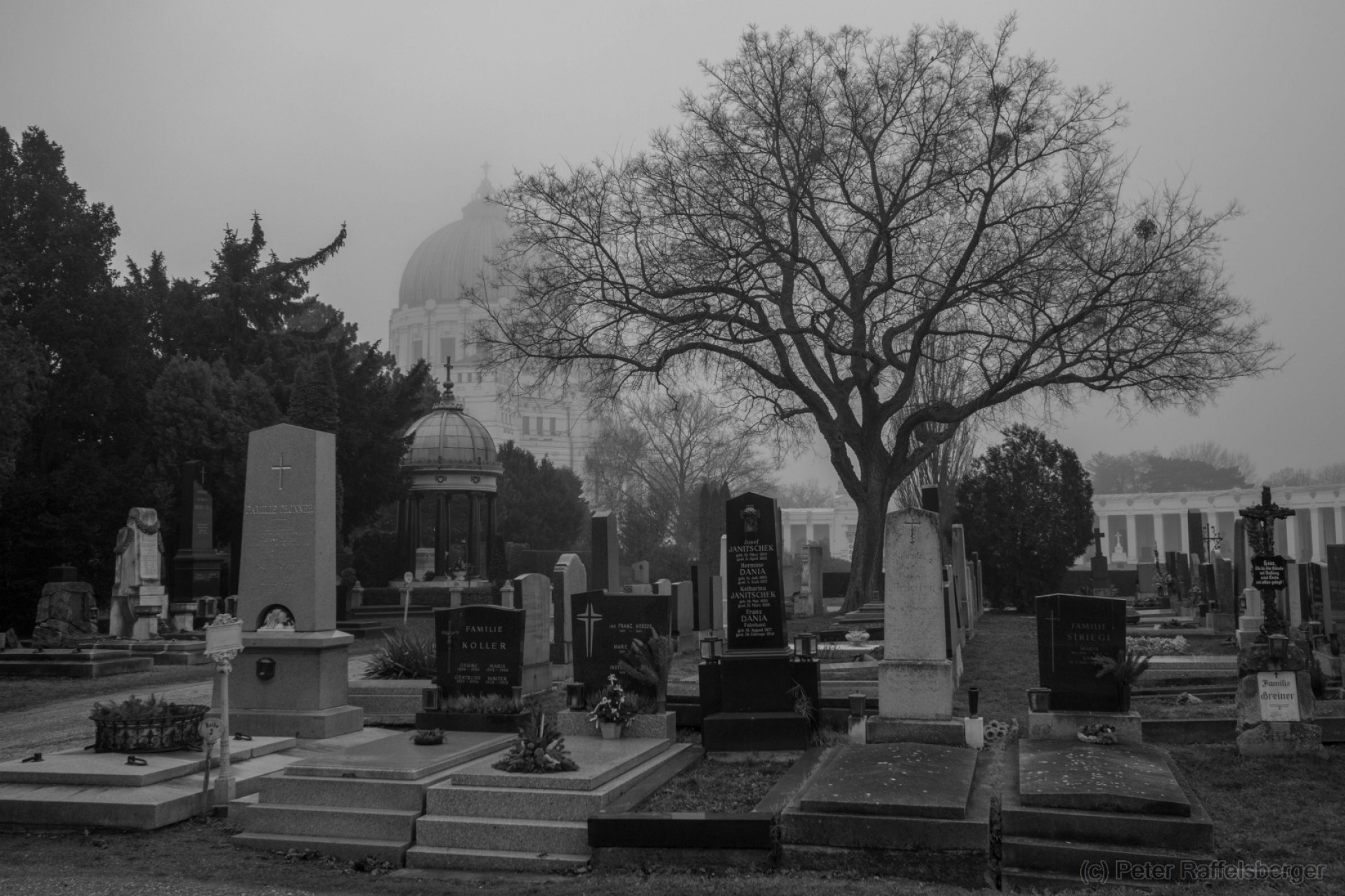 Vienna Central Graveyard
