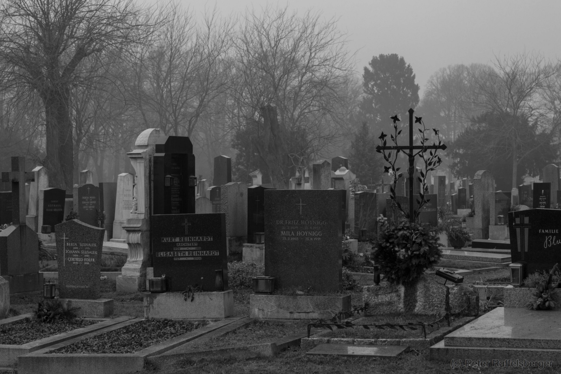 Vienna Central Graveyard