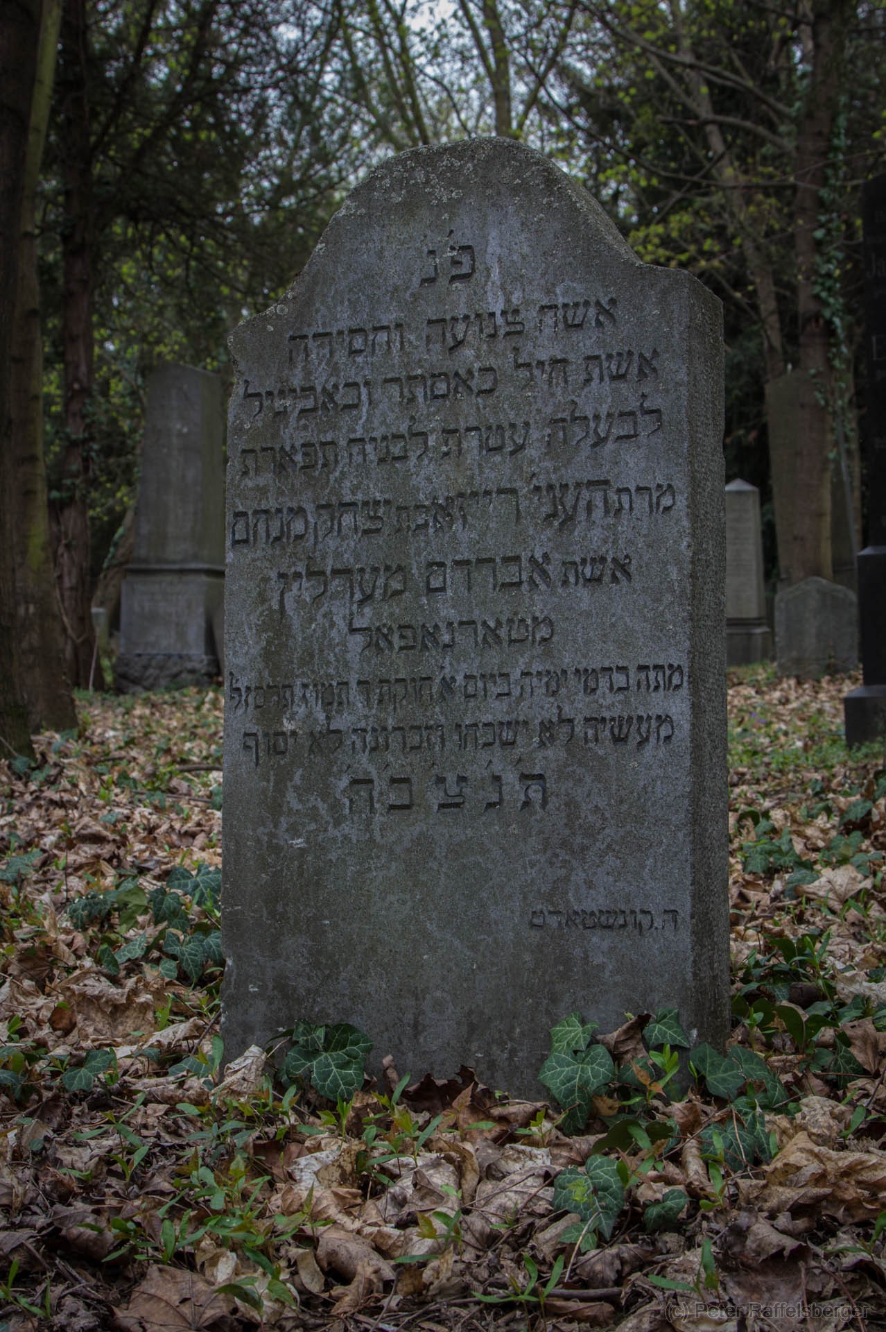 Wien Zentralfriedhof Frühjahr
