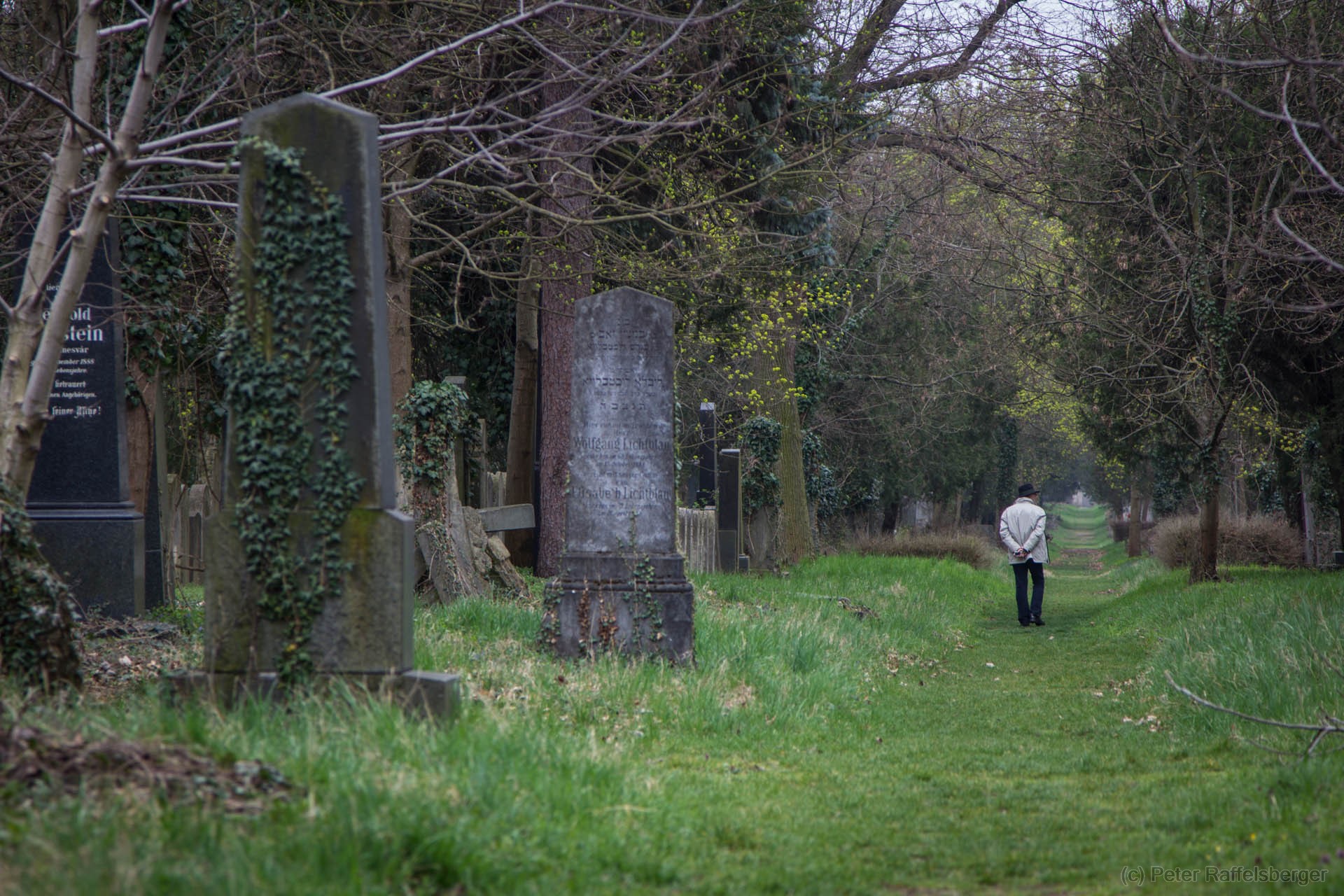 Wien Zentralfriedhof Frühjahr