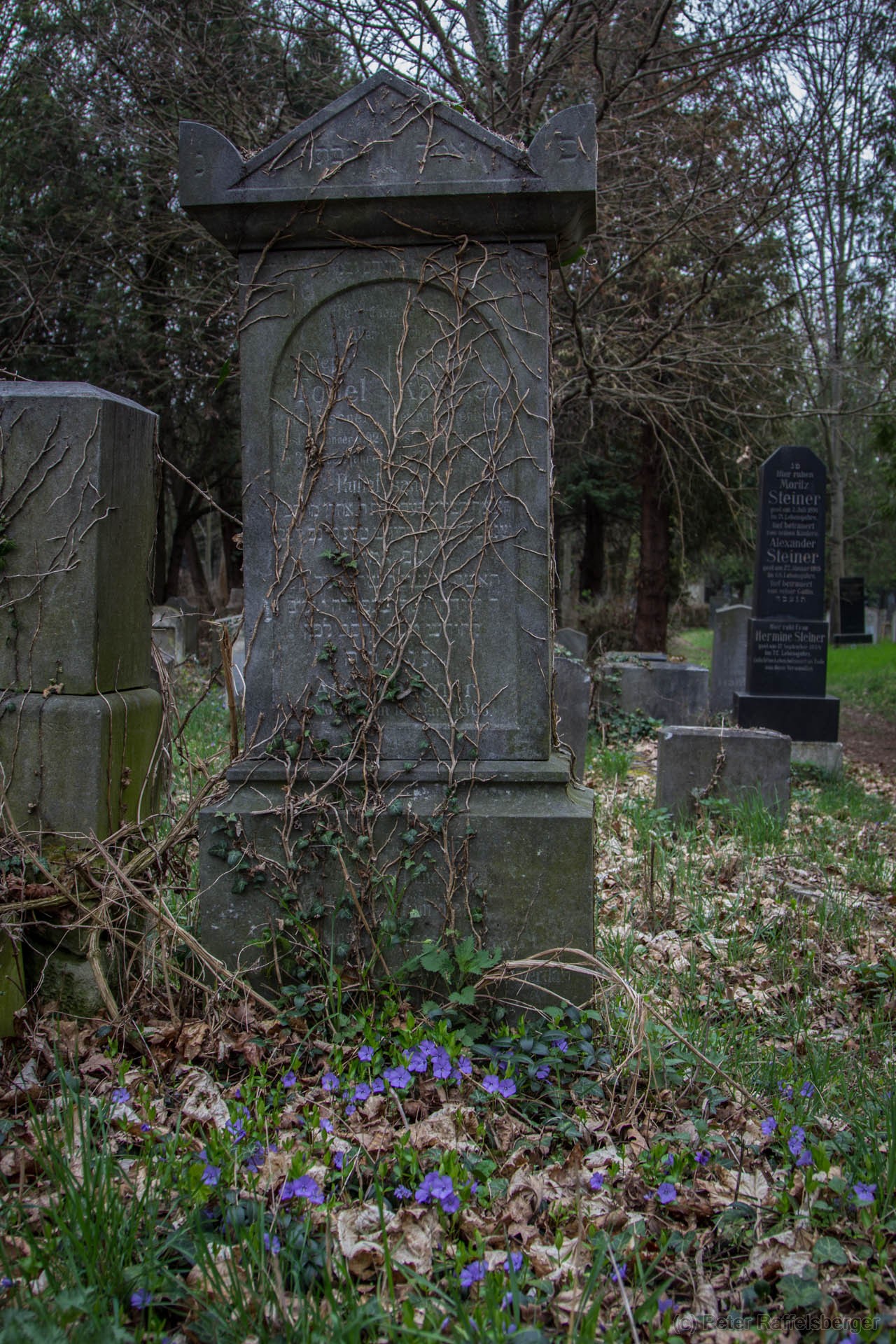 Wien Zentralfriedhof Frühjahr