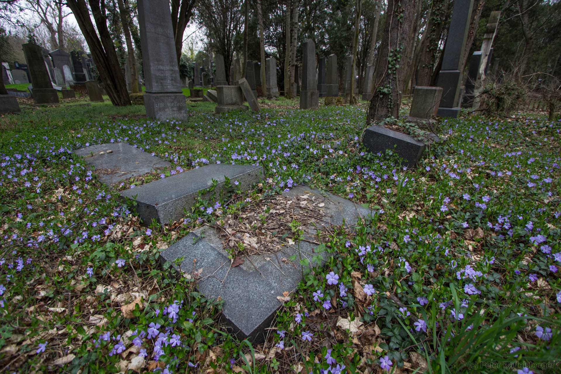 Wien Zentralfriedhof Frühjahr