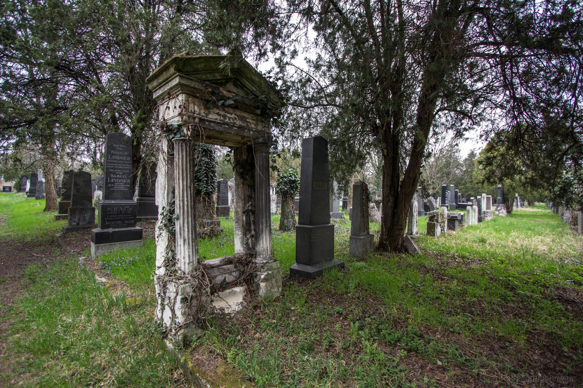 Wien Zentralfriedhof Frühjahr