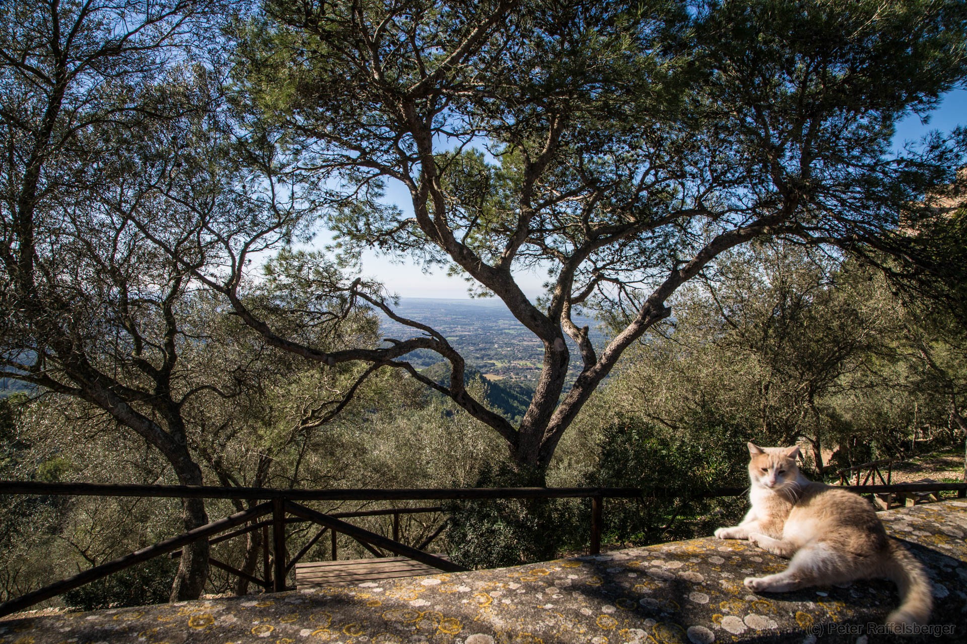 Mallorca 2018