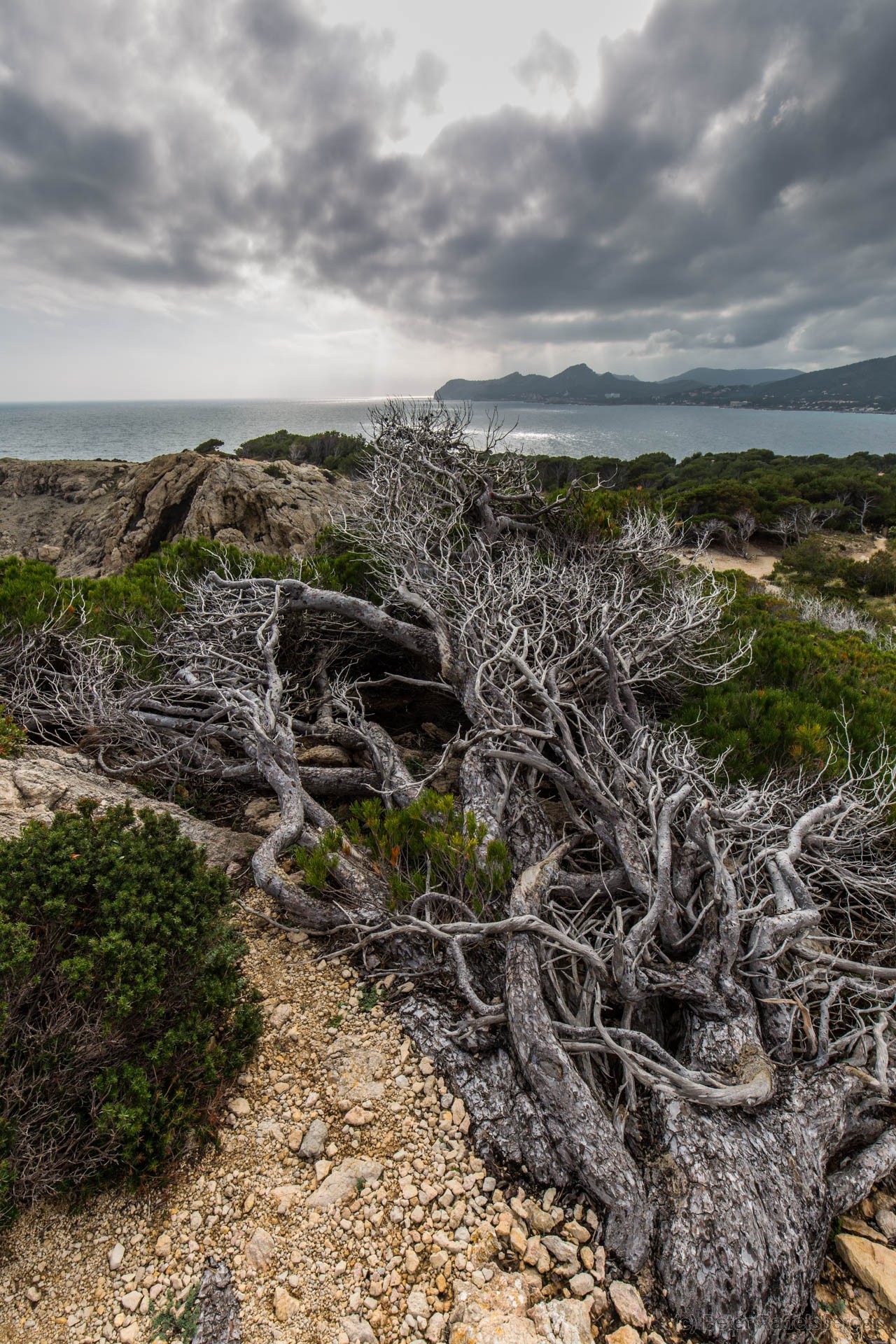 Mallorca 2018
