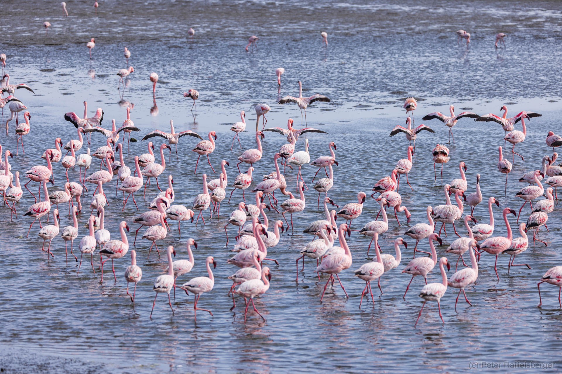 Damaraland, Swakopmund, Walvis Bay