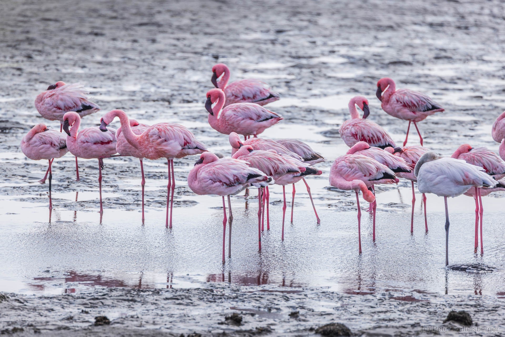 Damaraland, Swakopmund, Walfischbucht