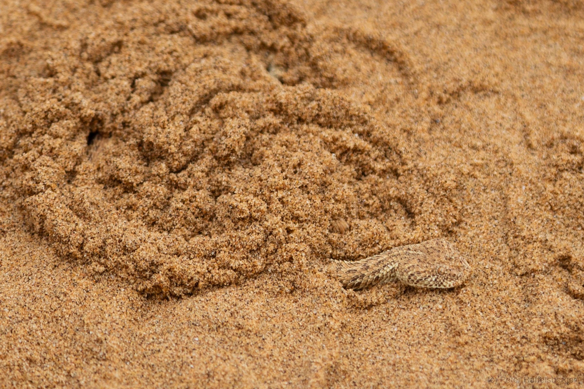 Damaraland, Swakopmund, Walvis Bay