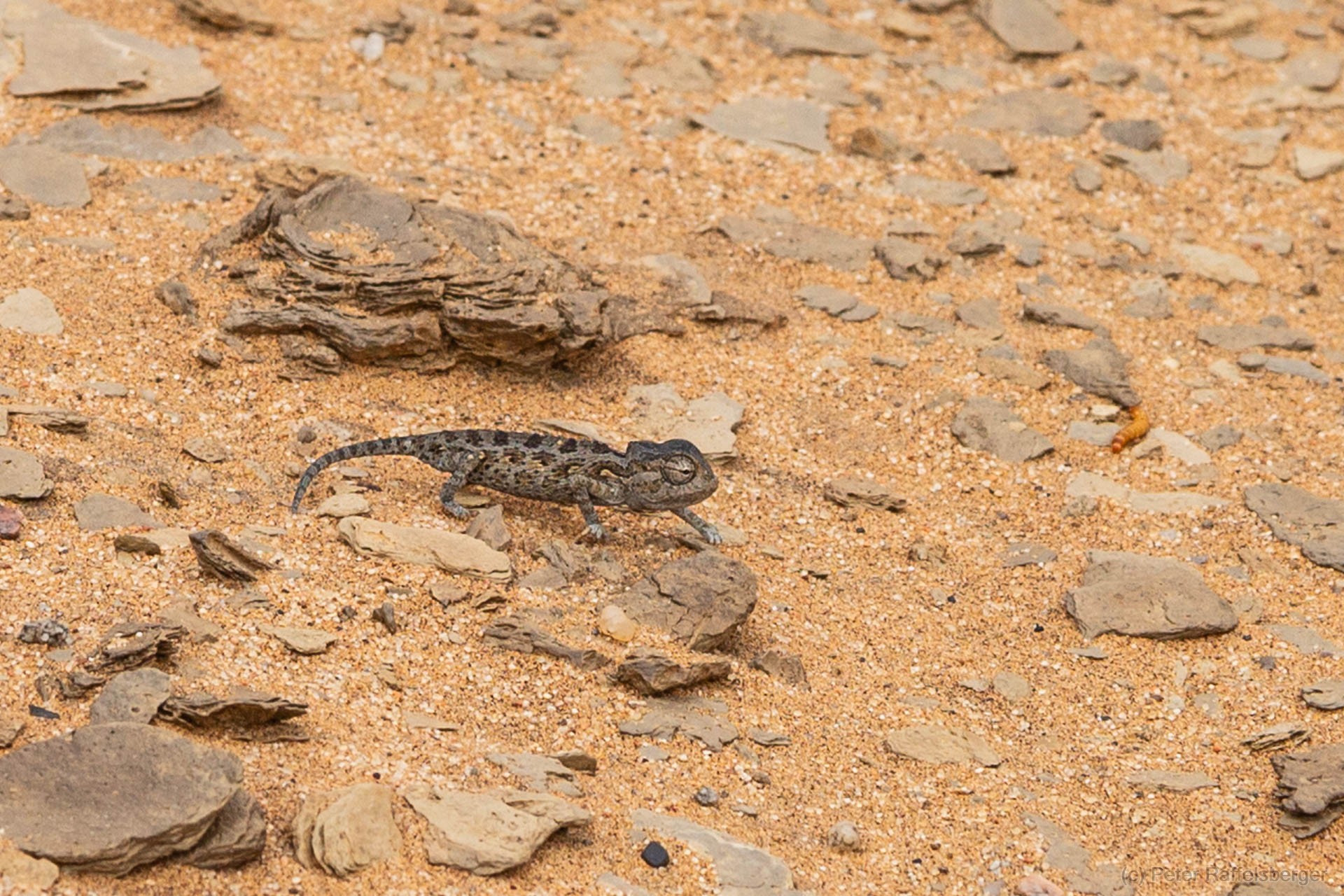 Damaraland, Swakopmund, Walfischbucht