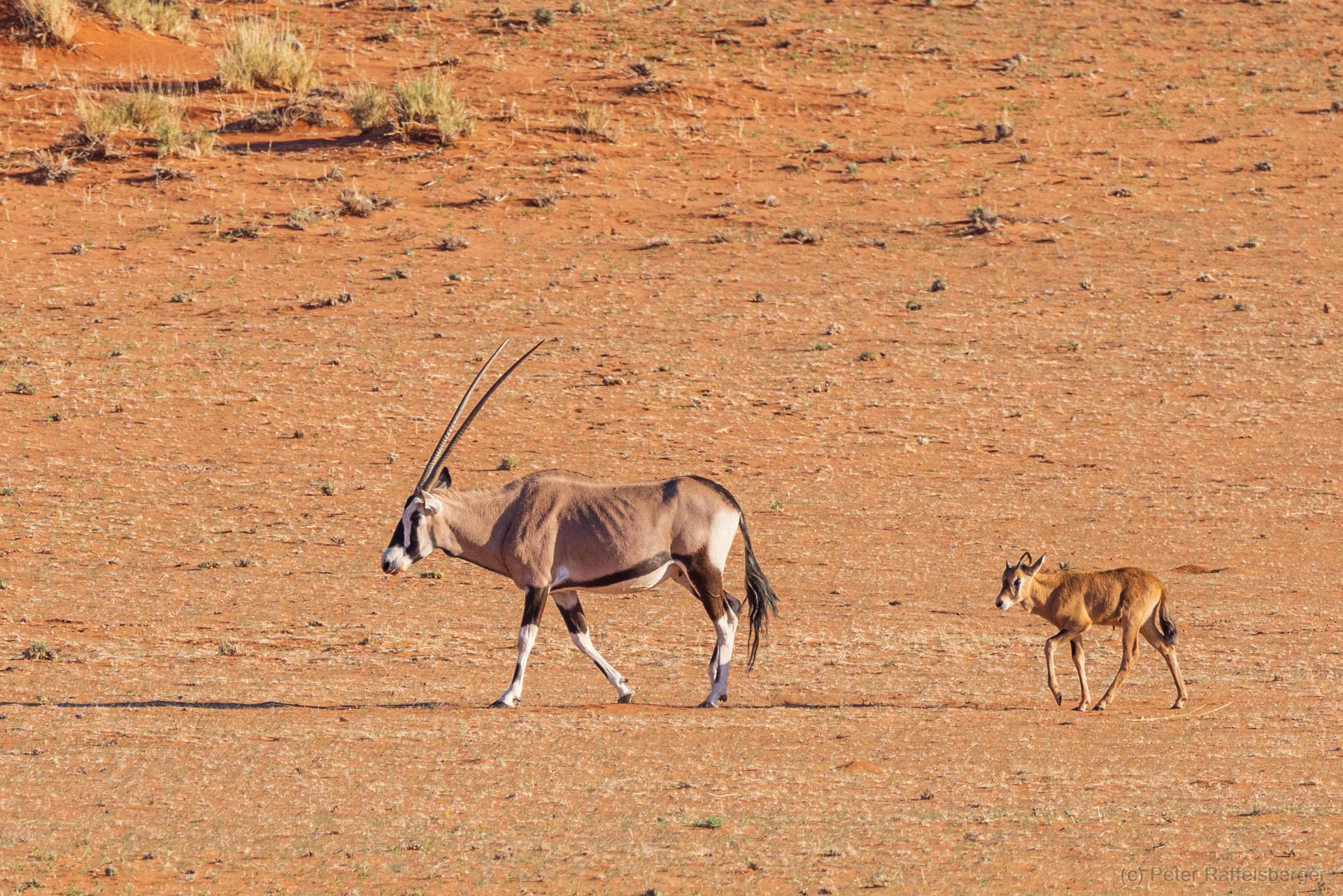 Sesriem, Sossusvlei, Namib-Naukluft-Nationalpark, Kalahari